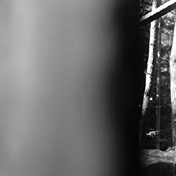 Lee Haven Jones - Age, Bio, Birthdate, Family, Networth & More