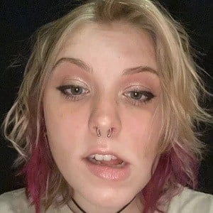 Maddie Leigh - Birthplace, Bio, Wiki, Birthday, Family, Networth & More