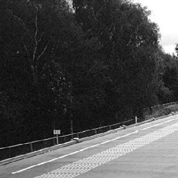 Leo Franssen - Age, Bio, Birthdate, Family, Networth & More