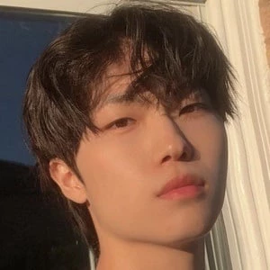 Leo.wz - Income, Birthday, Family, Bio, Networth & More