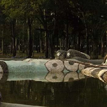 León Larregui - Family, Bio, Wiki, Dat of Birth, Networth & More