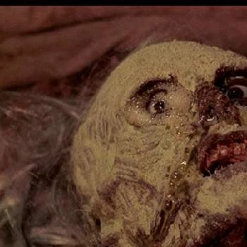 Lesley Sank - Age, Bio, Birthdate, Family, Networth & More