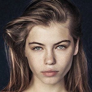 Kate Li - Wiki, Family, Bio, Birthdate, Networth & More