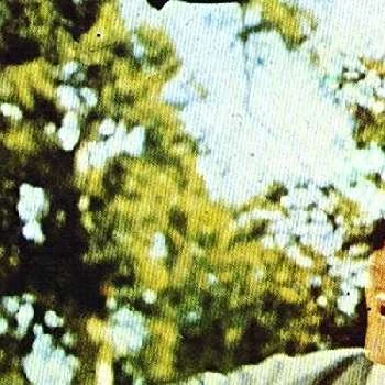 Lin Lin - Age, Bio, Birthdate, Family, Networth & More