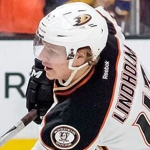 Hampus Lindholm - Networth, Bio, Birthdate, Age, Family & More