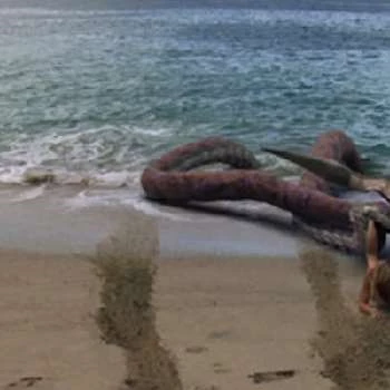 Lindsay Conklin - Age, Bio, Birthdate, Family, Networth & More