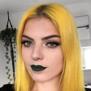 Crystal Lindy - Networth, Bio, Wiki, Family, Birthday, Networth & More