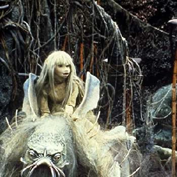 Lisa Maxwell - Income, Birthday, Family, Bio, Networth & More