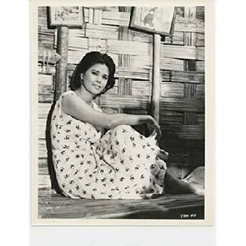 Liza Moreno - Age, Bio, Birthdate, Family, Networth & More