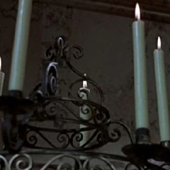 Lois Daine - Age, Height, Birthdate, Bio, Family, Networth & More