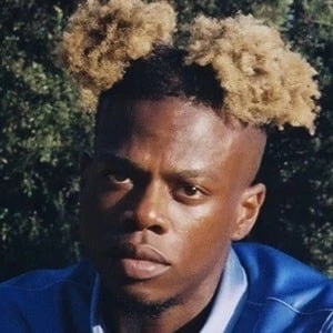 Tobi Lou - Networth, Biography, Birthdate, Family & More