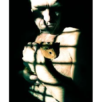 Luca Tramontin Biography