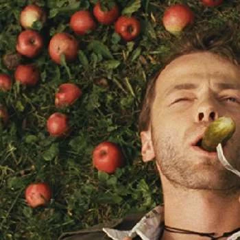 Lukás Langmajer - Bio, Networth, Family, Age, Birthdate & More