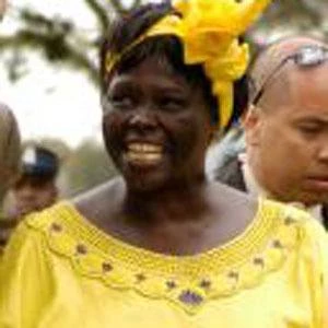 Wangari Muta Maathai - Age, Bio, Birthdate, Family, Networth & More
