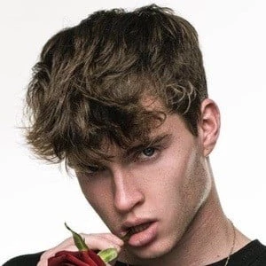 Ben Maddox - Adderess, Bio, Birthdate, Family, Wiki & More