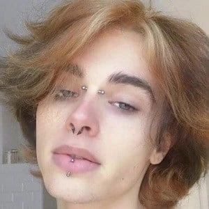 Jan Maes - Parents, Networth, Bio, Birthdate, Family Wiki & More