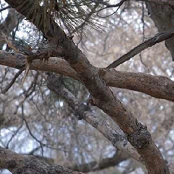 Maggie Phillips - Age, Bio, Birthdate, Family, Networth & More