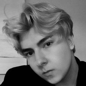 Misha Maksimov - Networth, Bio, Birthdate, Age, Family & More