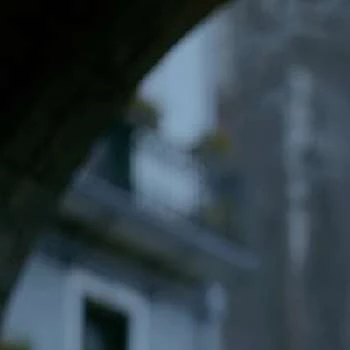 Malek Mohamed Fadel - Age, Bio, Birthdate, Family, Networth & More