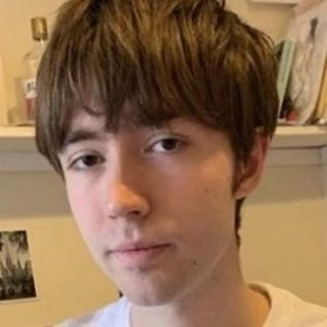 Matt Maltese - Biography, Birthday, Family, Wki, Networth & More