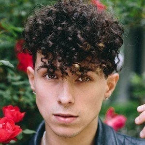 Zac Mann - Parents, Networth, Bio, Birthdate, Family Wiki & More