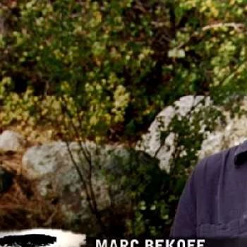 Marc Bekoff - Biography, Birthdate, Family, Networth & More