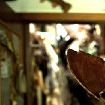 Marc Bischoff - Age, Bio, Birthdate, Family, Networth & More