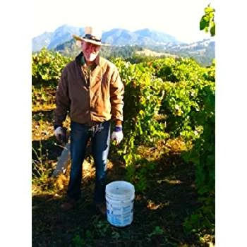 Marc Vena - Age, Bio, Birthdate, Family, Networth & More