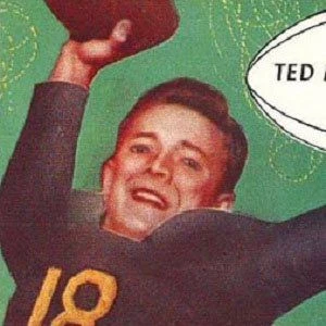 Ted Marchibroda - Family, Bio, Birthdate,Age, Networth , Wiki& More