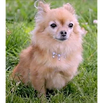 Margaret Thatcher - Age, Bio, Birthdate, Family, Networth & More