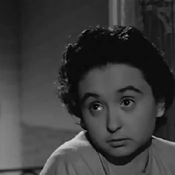 Maria Di Rollo - Age, Bio, Birthdate, Family, Networth & More