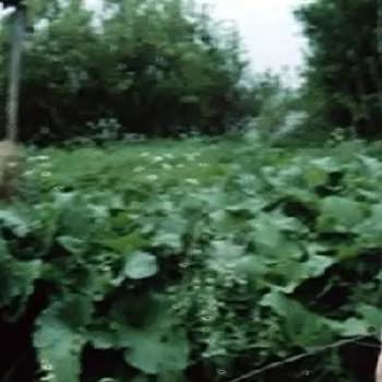 Marianna Velizheva - Age, Bio, Birthdate, Family, Networth & More