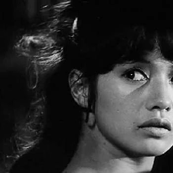 Mariko Kaga - Profession, Biography, Birthdate, Family, Wiki & More