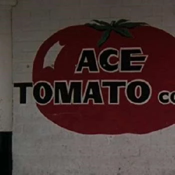 Mark Stewart - Age, Bio, Birthdate, Family, Networth & More