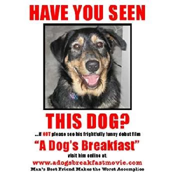 Mars the Dog - Age, Bio, Birthdate, Family, Networth & More