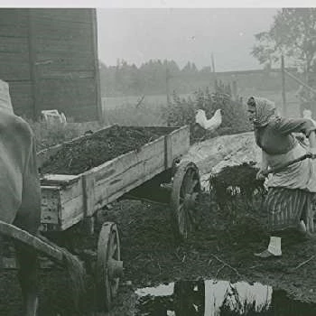 Märta Ekström - Biography, Birthday, Wiki, Family, Networth & More