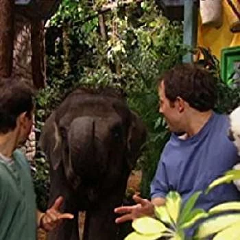 Martin Kratt - Wiki, Bio, Networth, Birthdate, Family & More