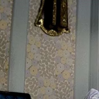 Martine Kelly - Family, Bio, Birthdate,Age, Networth , Wiki& More