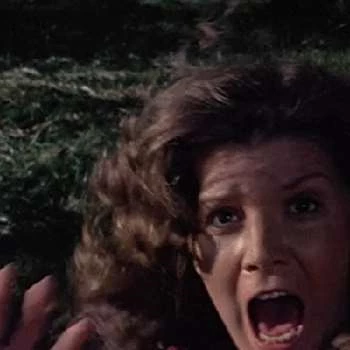 Mary Ann Hearn - Biography, Birthday, Wiki, Family, Networth & More