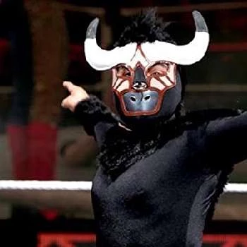 Mascarita Dorada - Biography, Birthday, Family, Wki, Networth & More