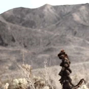 Mathew Dunlop - Age, Bio, Birthdate, Family, Networth & More