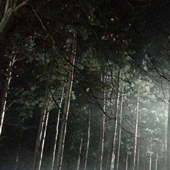 Matt Barklem - Age, Bio, Birthdate, Family, Networth & More