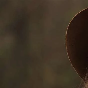 Matt Story - Age, Bio, Birthdate, Family, Networth & More