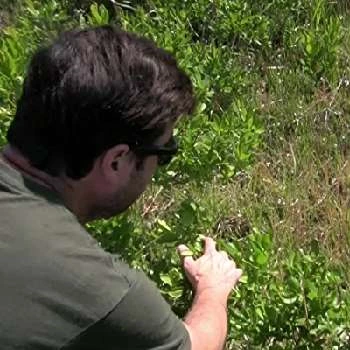 Matthew Kaelin - Age, Bio, Birthdate, Family, Networth & More