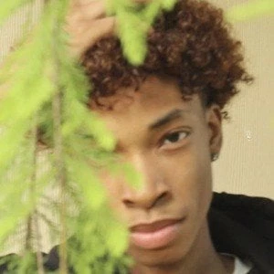 Justin McNease - Birthdate, Age, Family, Bio, Networth & More