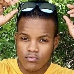 Andrew Meade - Networth, Bio, Wiki, Family, Birthday, Networth & More