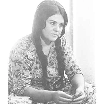 Mehri Vadadian - Age, Bio, Birthdate, Family, Networth & More