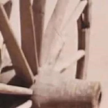 Melis Abzalov - Age, Wiki, Birthdate, Bio, Networth, Family & More