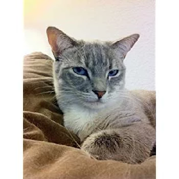 Melody - Age, WIki, Birthday, Family, Networth & More