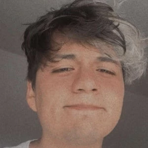 menasaurio Biography